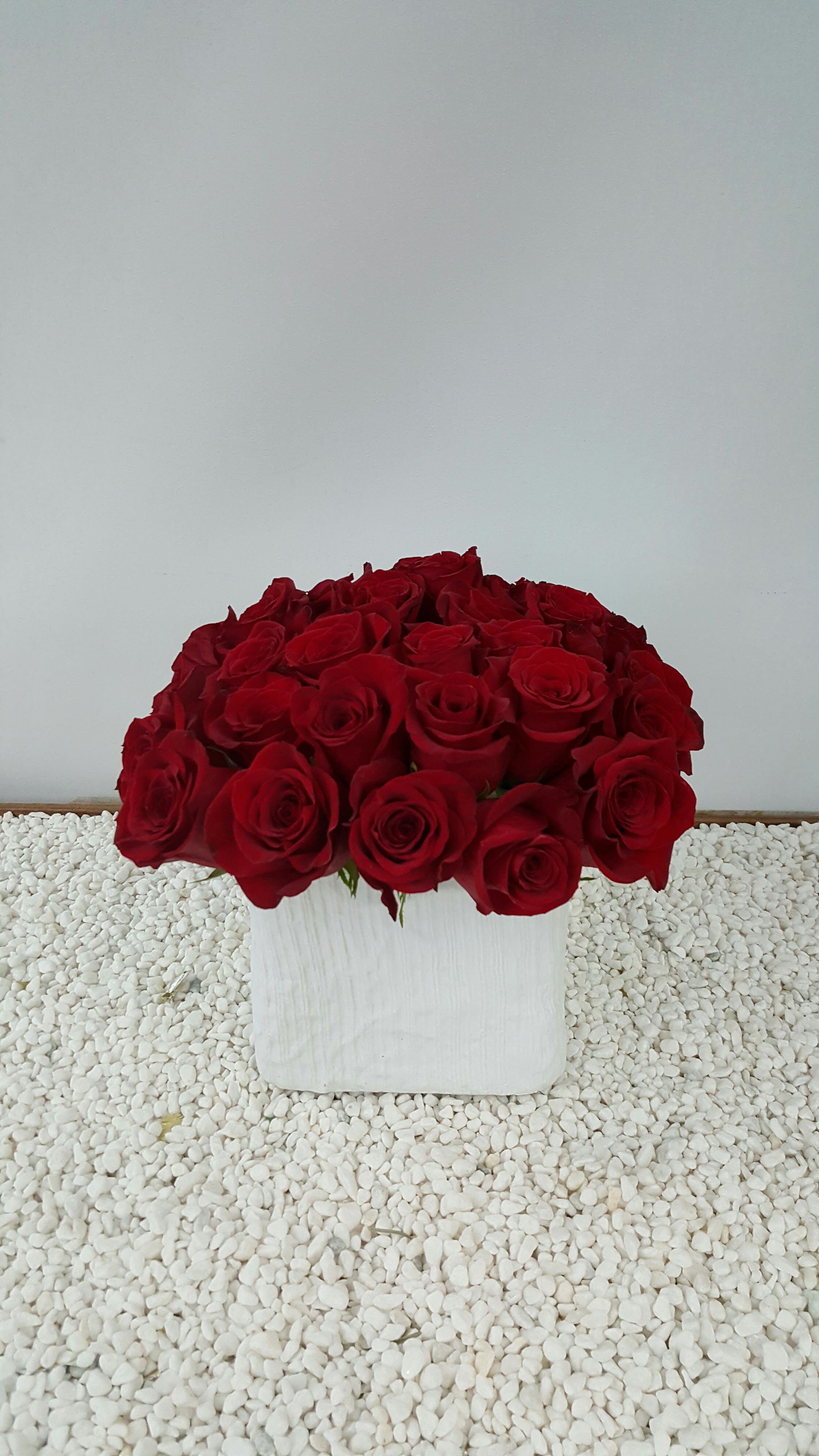 Cluster of Red Roses