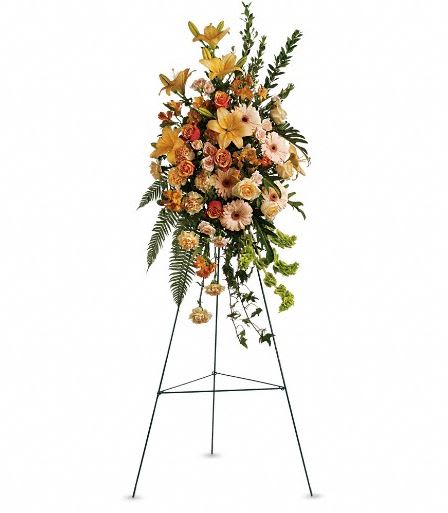 T266-1A Sweet Remembrance Spray - The flowing, improvisational feeling expressed by this beautiful spray of pastel flowers is like an outpouring of love. It will be long-remembered. The striking bouquet includes peach roses, orange bi-color roses, peach spray roses, peach asiatic lilies, orange alstroemeria, peach carnations and bells of Ireland, accented with assorted greenery. Approximately 23&quot; W x 46&quot; H 