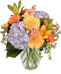 Filled With Delight - 8&quot; ginger vase 2 blue hydrangeas 2 peach Gerberas 3 orange carnations 3 stems peach stock 2 stems peach lilies  Copyright Flower Shop Network