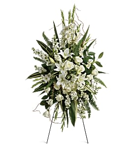 Heartfelt Sympathy Spray (T281-3A) - This beautiful spray includes white hydrangea, white roses, white oriental lilies, white gladioli, white stock, pitta negra, sword fern, curly willow, variegated aspidistra leaves, and lemon leaf. Delivered on a wire easel.