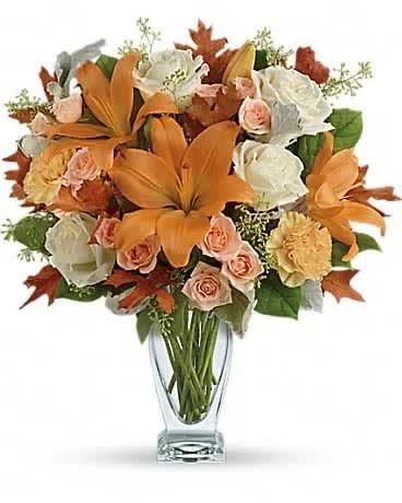 Teleflora Seasonal Sophistication Bouquet Teleflora Seasonal Sophistication Bouquet - Add sophistication to the season with this gorgeous autumn arrangement. These striking lilies and roses are sure to brighten anyone's day. This beautiful arrangement features white and peach roses, peach asiatic lilies and peach carnations and is finished with dusty miller, seeded eucalyptus, brown oak leaves and lemon leaf. Delivered in a Couture vase.