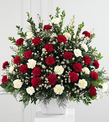 Devotion Arrangement Devotion Arrangement - Red carnations and white carnations are accented with white Monte Casino in this traditional arrangement. A variety of greens adds texture and fullness to the design. A one-sided composition, this is appropriate to send to the funeral home or memorial service. Item # S27-3809