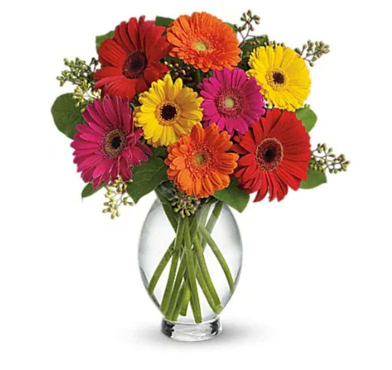 Teleflora's Gerbera Brights - Sending this bouquet just might be your brightest idea of the summer! Gerberas are so full of color, charisma and character, and this arrangement showcases their glory. Hot pink and red gerberas, miniature hot pink and orange gerberas and yellow seeded eucalyptus are delightfully delivered in an Inspiration Vase.   Orientation : One-Sided  All prices in USD ($)  Standard  T156-1A  Deluxe  T156-1B  Premium  T156-1C