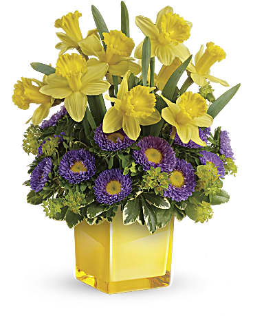 Teleflora's Playful Springtime Daffodil Bouquet - A playful arrangement of sunny daffodils and rich purple asters in a keepsake cube, this gorgeous gift celebrates spring in a most joyful way! Yellow daffodils and lavender matsumoto asters are arranged with bupleurum and variegated pittosporum. Delivered in a Sunshine Color Splash Cube. 