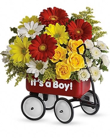 Baby's Wow Wagon by Teleflora - Boy - Talk about the perfect welcome wagon! Available for boys and girls, this darling keepsake will be cherished for years. Bright, cheerful and ready to &quot;roll&quot; right into the nursery. Pretty yellow spray roses, red miniature gerberas and matsumoto asters, white and yellow daisy spray chrysanthemums, white button spray chrysanthemums and solidago are lovingly arranged in a wagon. The wow factor is now officially off the charts! 