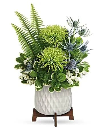 Teleflora's Style Statement Bouquet Teleflora's Style Statement Bouquet - Gorgeous green blooms and a mod, mid-century ceramic planter add up to a stunning style statement! Green spider chrysanthemums, green button spray chrysanthemums, white sinuata statice, and blue eryngium are arranged with sword fern and variegated pittosporum. Delivered in a Mid Mod Geometric Planter.