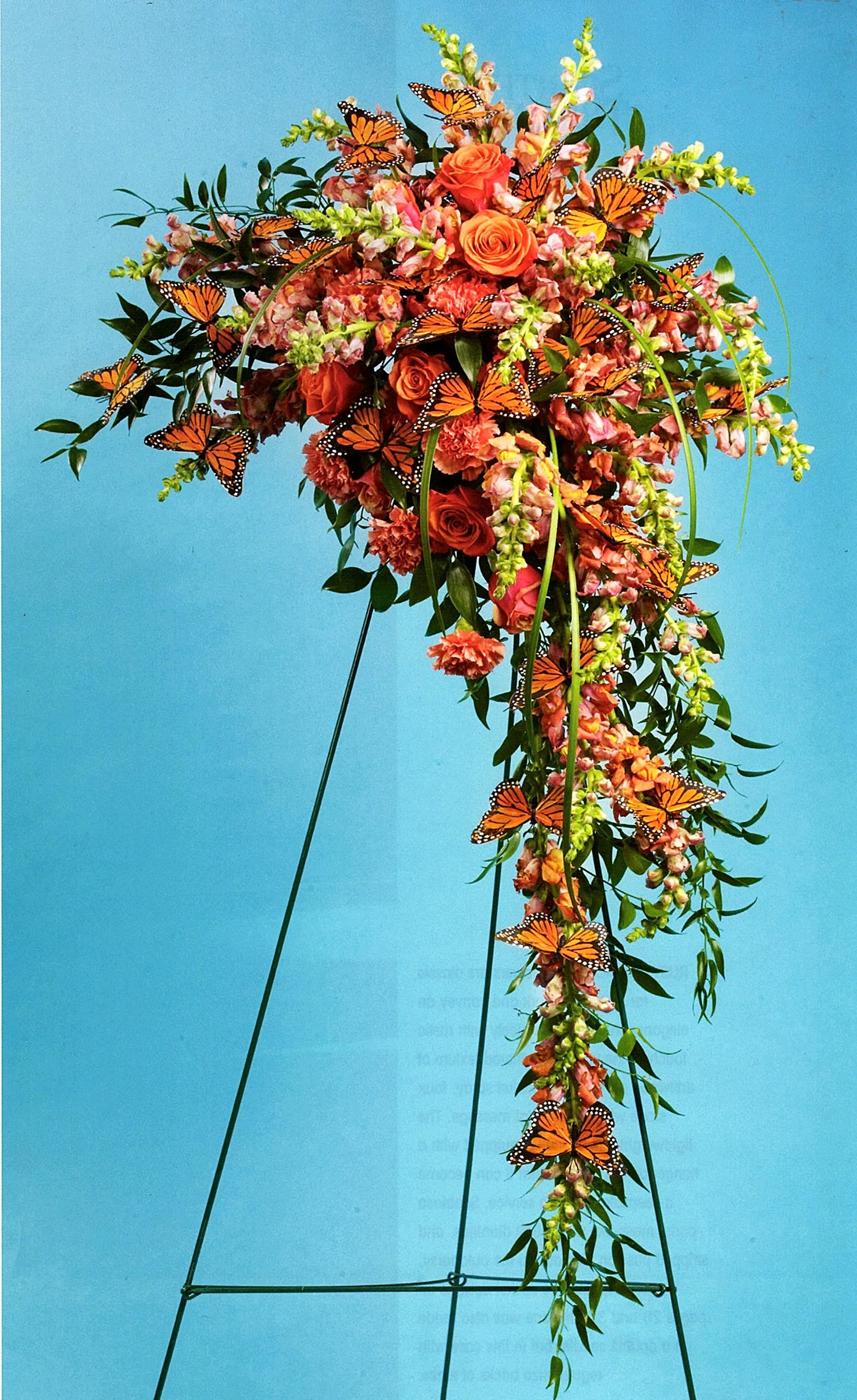 Monarch Butterfly Spray - Bright coral and orange hues are accented by Monarch Butterflies in a dramatic tribute. Snapdragons, roses and other seasonally available flowers