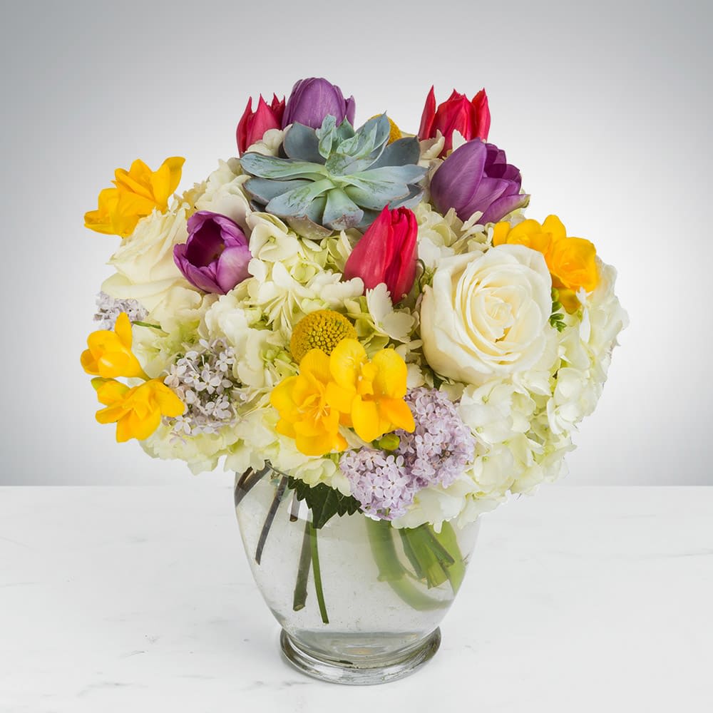 Confetti Surprise - This arrangement includes hydrangea, tulips, freesia, succulents and other seasonal blooms. This is a great gift for birthdays, thank you, or just because. APPROXIMATE DIMENSIONS: 11&quot; D x 13&quot; H