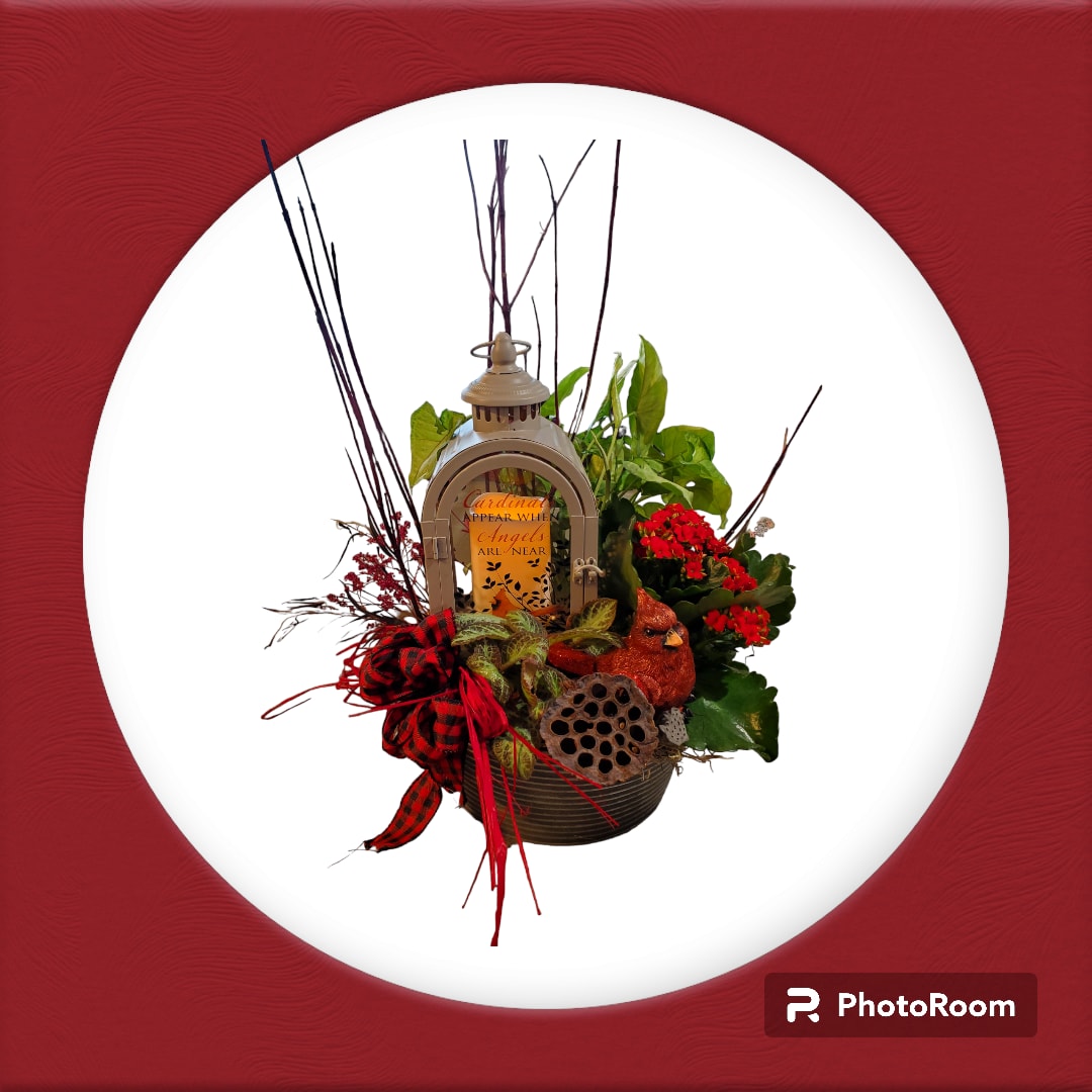 Euro Garden with Lantern  - A mix of green plants and a blooming plant surrounding a lantern with a cardinal in a container. We compliment that with a bow and some sticks for height. 