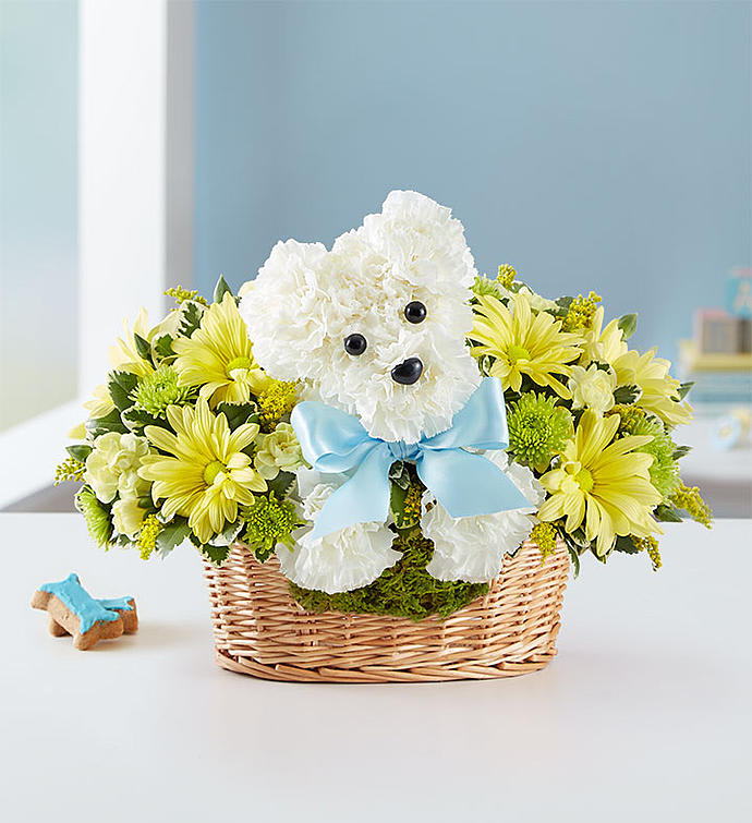 Baby Boy's Best Friend  - When it comes to new baby gifts, our truly original arrangement is the pick of the litter! Fresh white carnations are expertly crafted in the shape of an adorable dog, surrounded by a mix of fresh, colorful blooms and nestled inside a charming basket. 