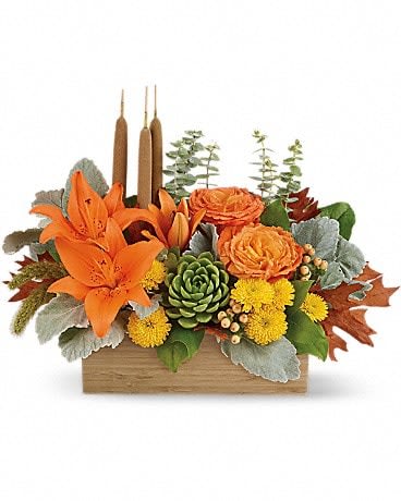 Teleflora's Fall Bamboo Garden - Zen Harvest! You can't help but fall into a deep state of relaxation when you feast your eyes on this striking centerpiece. This artistic arrangement will enchant with shades of peach, orange and green - combining roses, lilies and even a succulent plant! Hand-delivered in a natural-toned bamboo rectangle. This gorgeous centerpiece arrangement features orange rose, orange asiatic lilies, yellow cushion spray chrysanthemums, peach hypericum, millet, cattails and a succulent plant, and finished with dusty miller, spiral eucalyptus and lemon leaf. Delivered in a natural bamboo rectangle. 