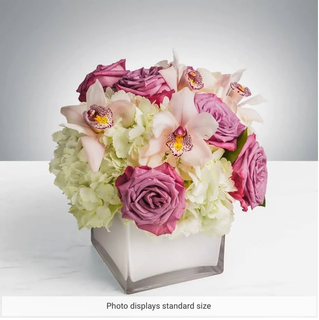 Pop of Lavender by BloomNation™ - Our most popular arrangement! Pop of Lavender by BloomNation™ is the perfect gift to wish someone a happy birthday or to say thank you.   Arrangement Details: Includes white cymbidium orchids, lavender roses, and white hydrangea.  APPROXIMATE DIMENSIONS:10&quot; H X 11&quot; W X 11&quot;L