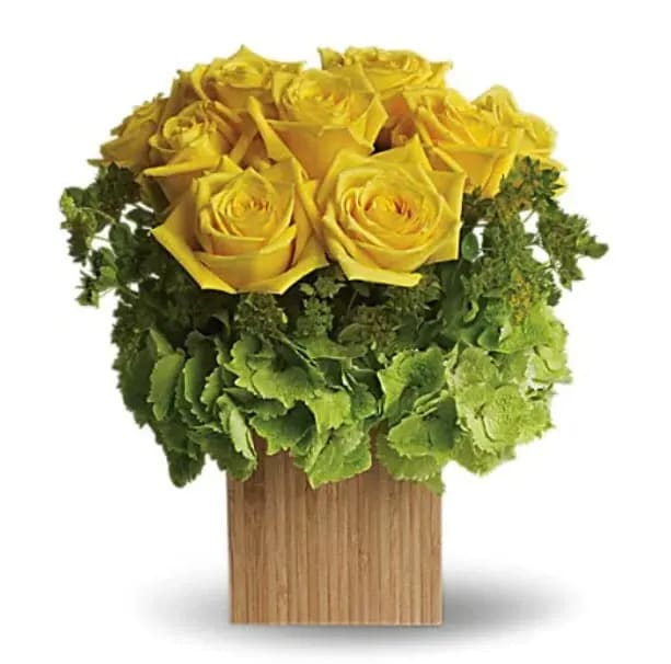 Teleflora's Box of Sunshine - Let the sunshine in! This brilliant mix of flowers is hand-delivered in natural bamboo cube. You can't help feeling happy and warm all over just by looking at it. Pretty yellow roses rest inside brilliant green hydrangea, all inside an exclusive natural bamboo cube. Imagination blossoms right here! 