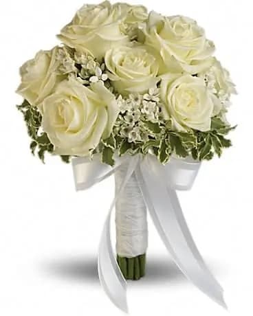 Lacy Rose Bouquet - Delicate white bouvardia and pittosporum lend a lacy look to this breathtaking bouquet of white roses, wrapped with sheer organza ribbon. White roses and bouvardia contrasted by variegated pittosporum. 