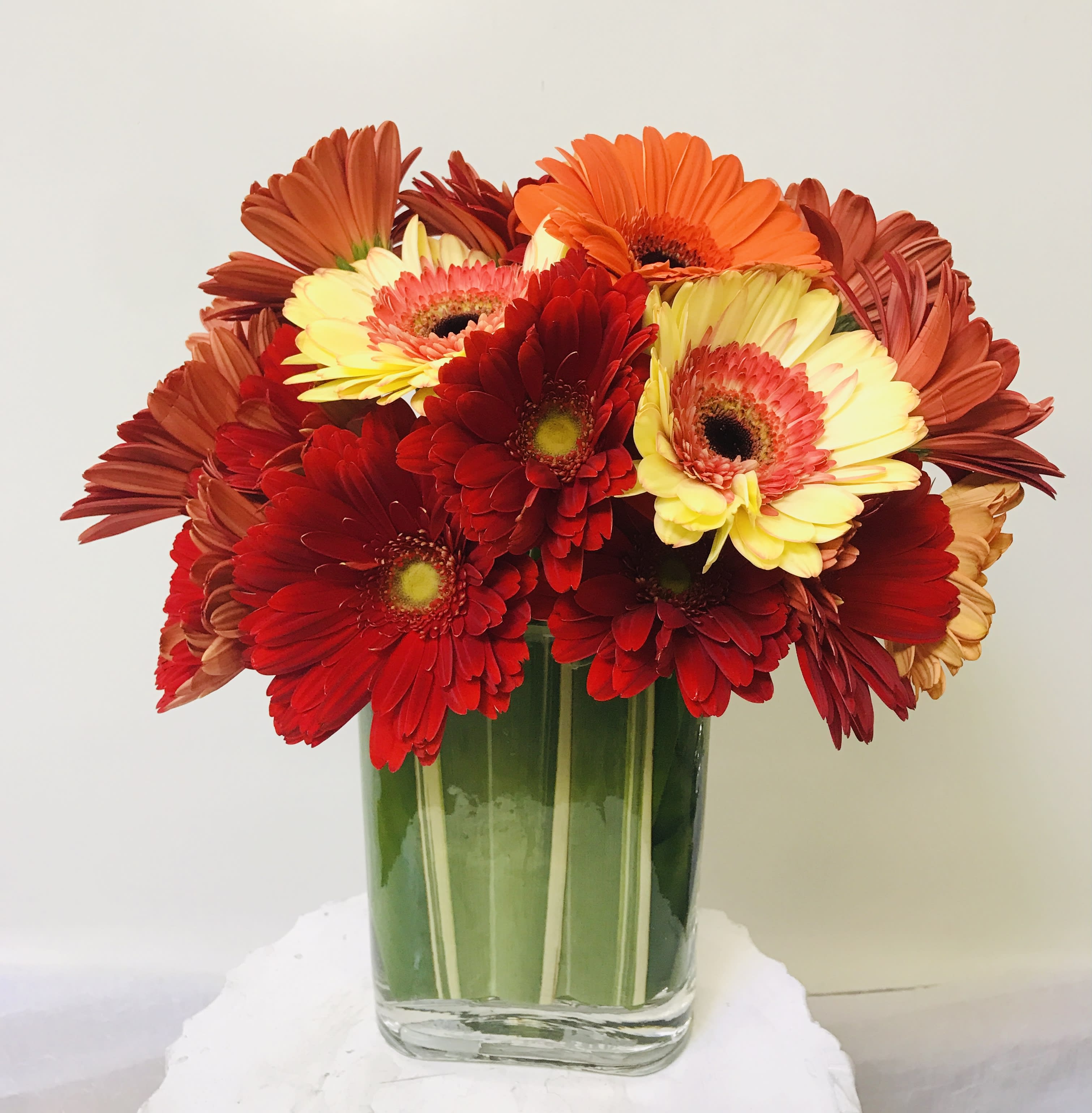 Green Book - in a glass vase with a nice green leaf inside 15 different colors of gerberas 