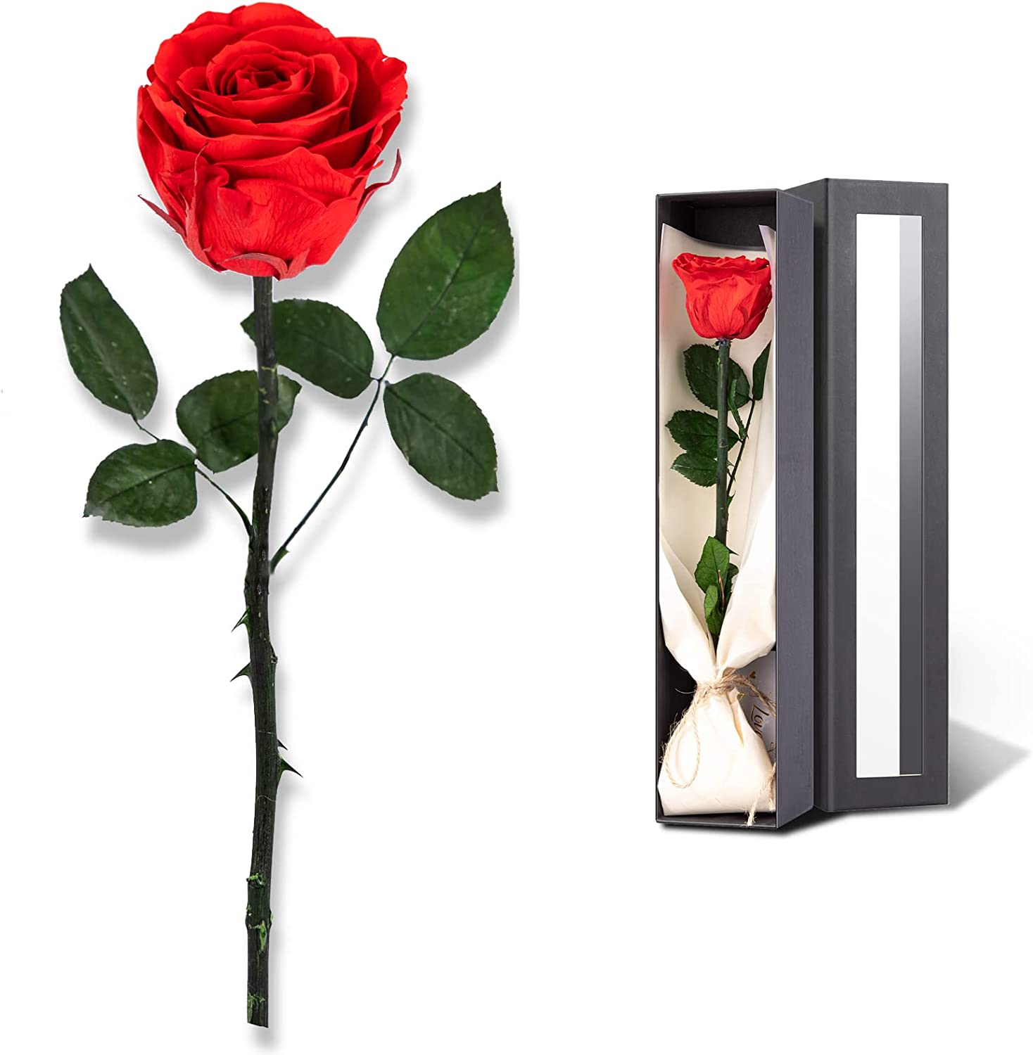Preserved Eternal Forever Rose Plant Decor Anti Fade Transparent Cover For  Mothers Day From Yyuongg, $43.58