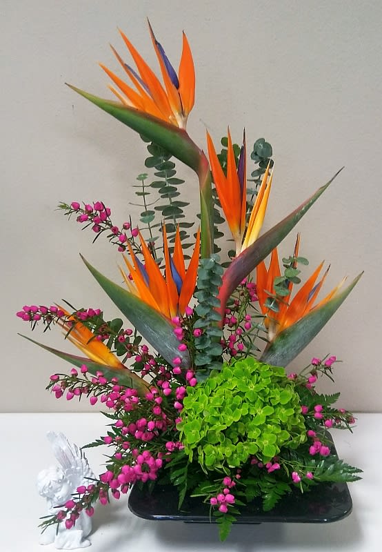Bird of Paradise Special  (On Sale) - Stylishly designed birds of paradise with hydrangea, baronia or wax flower and eucalyptus. 