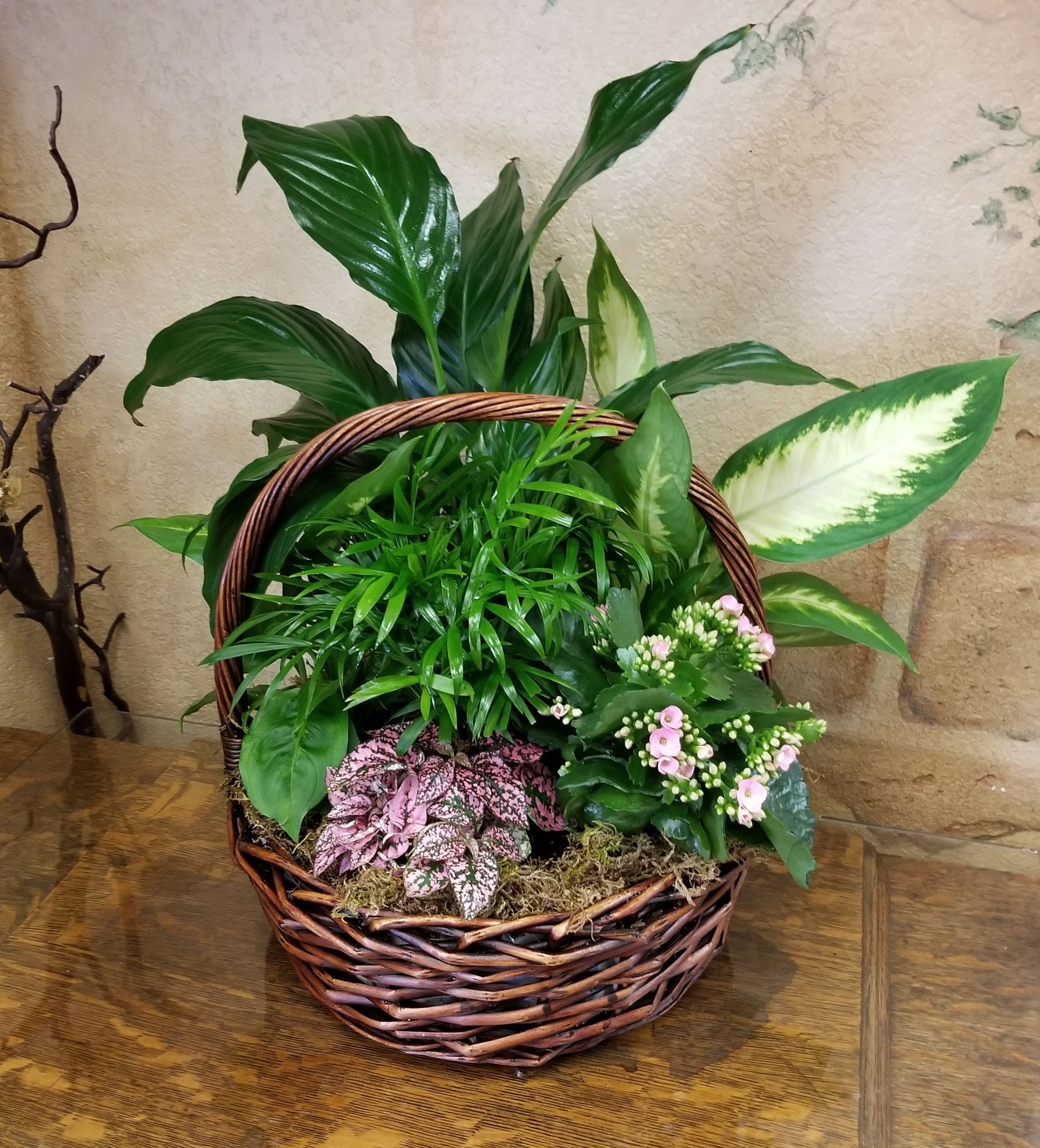 Basket Garden Basket Garden - An assortment of plants in a basket. Plants may vary.