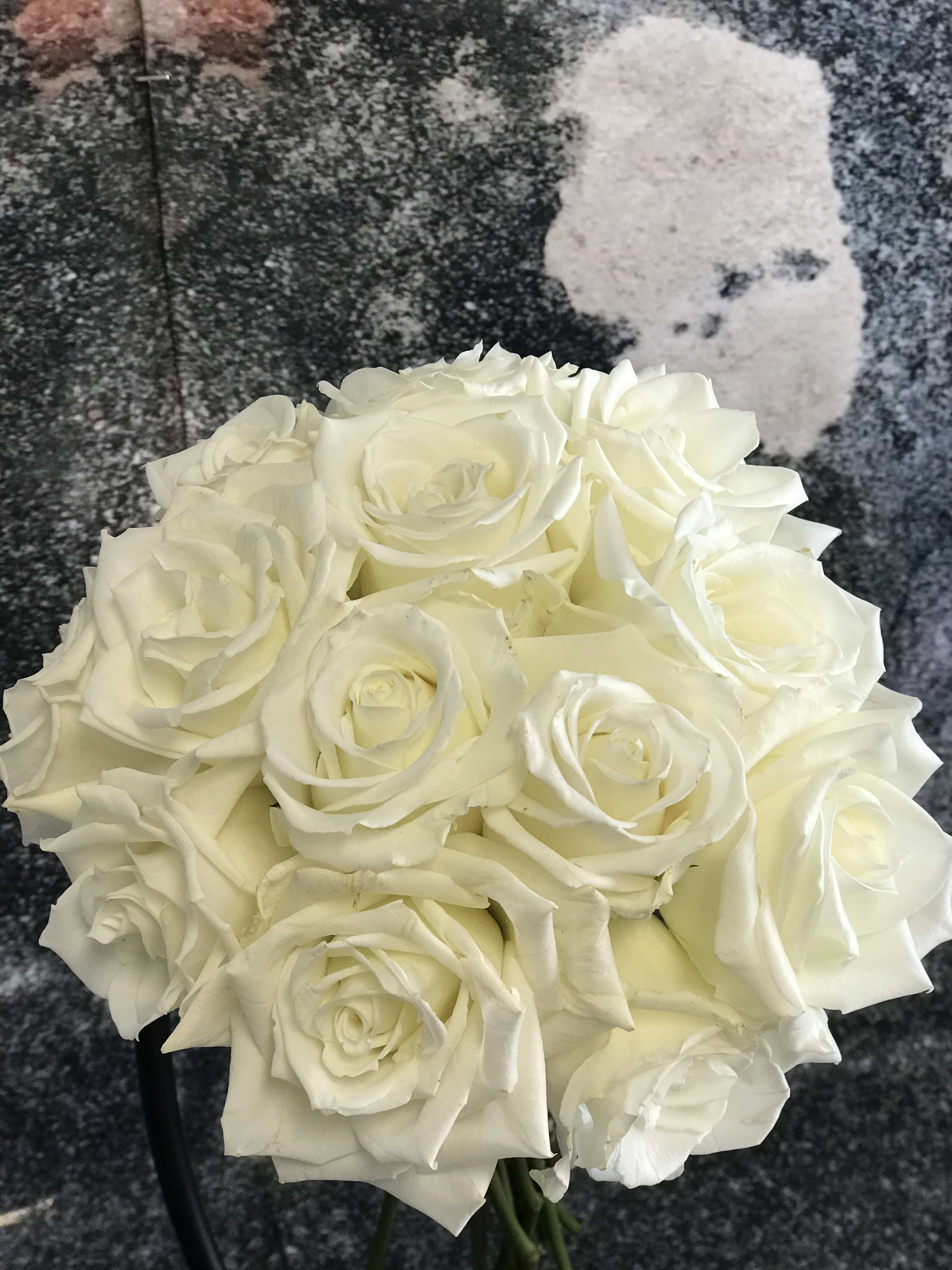 White rose bridal shop discount