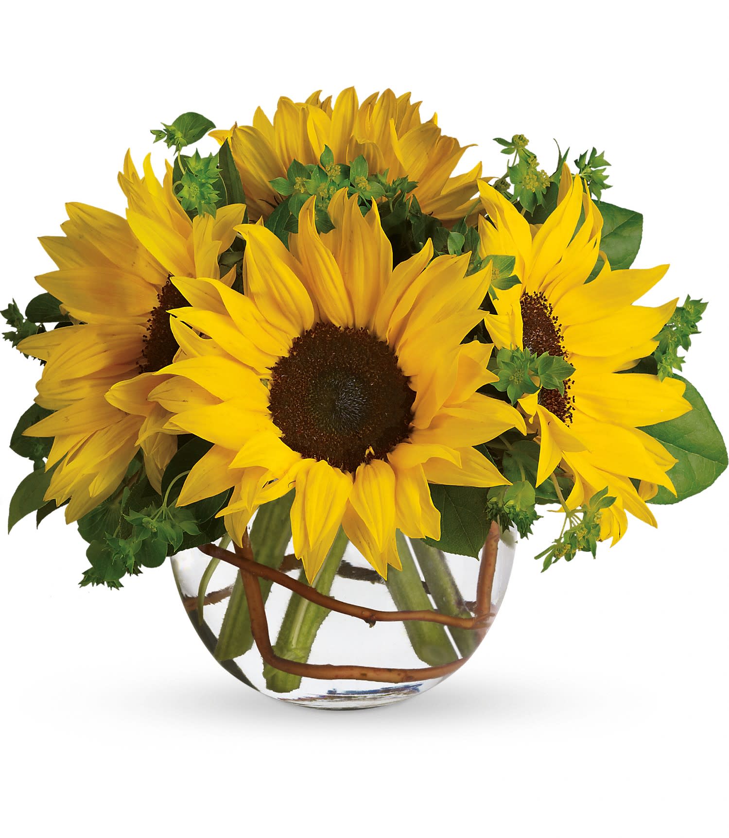 Sunny Sunflower by Teleflora - Whoever receives this stunning bouquet is sure to be bowled over by its bold beauty! It's big on fun and big on flowers.