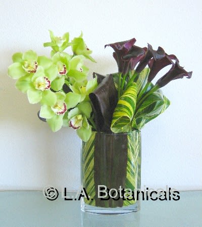 Ultra Mod - Sectioned groups of aubergine calla lilies and Cymbidium orchids are displayed in a vase lined with varying color leaves. Ultra modern and hip, it's great for contemporary spaces!  NEED A TIMED DELIVERY? If you require an order to be delivered within a 3 hour window you MUST add our “Rush Delivery.” Specify your 3 hour window request in “Florist instructions” during the checkout process. (All deliveries are made between 9 a.m. and 4 p.m. only)