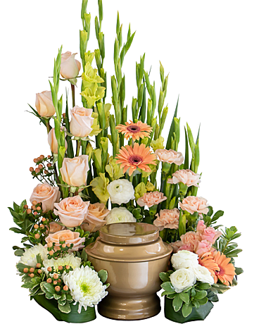 Divine Grace Surround - What an elegant way to present the urn of your loved one. The Divine Grace Surround features Roses, Gladiolus, Spider Chrysanthemums, Ranunculus, Spray Roses, Carnations, Gerbera Daisies and Hypericum Berries. 