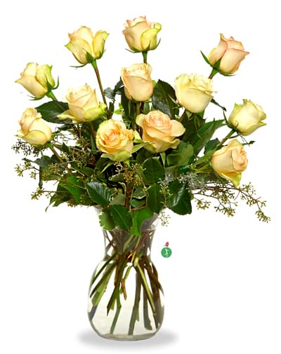 A Dozen Cream Roses - Cream roses can have many meanings. A bouquet of a dozen cream roses may be sent as an expression of gratitude and appreciation. Other times, cream roses are chosen as an expression of sympathy. This pretty bouquet is a thoughtful gift for any occasion.