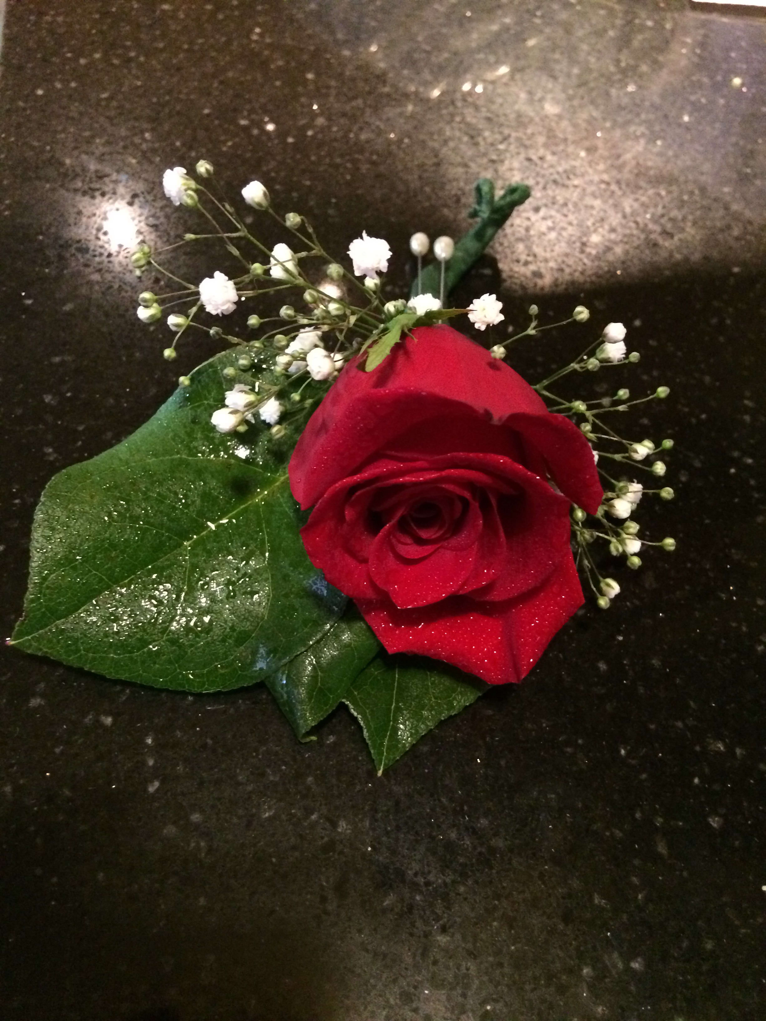 Full Size Rose Boutonnière in Greenfield, WI