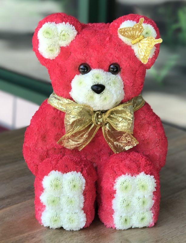 oasis bear by Andrews Flowers