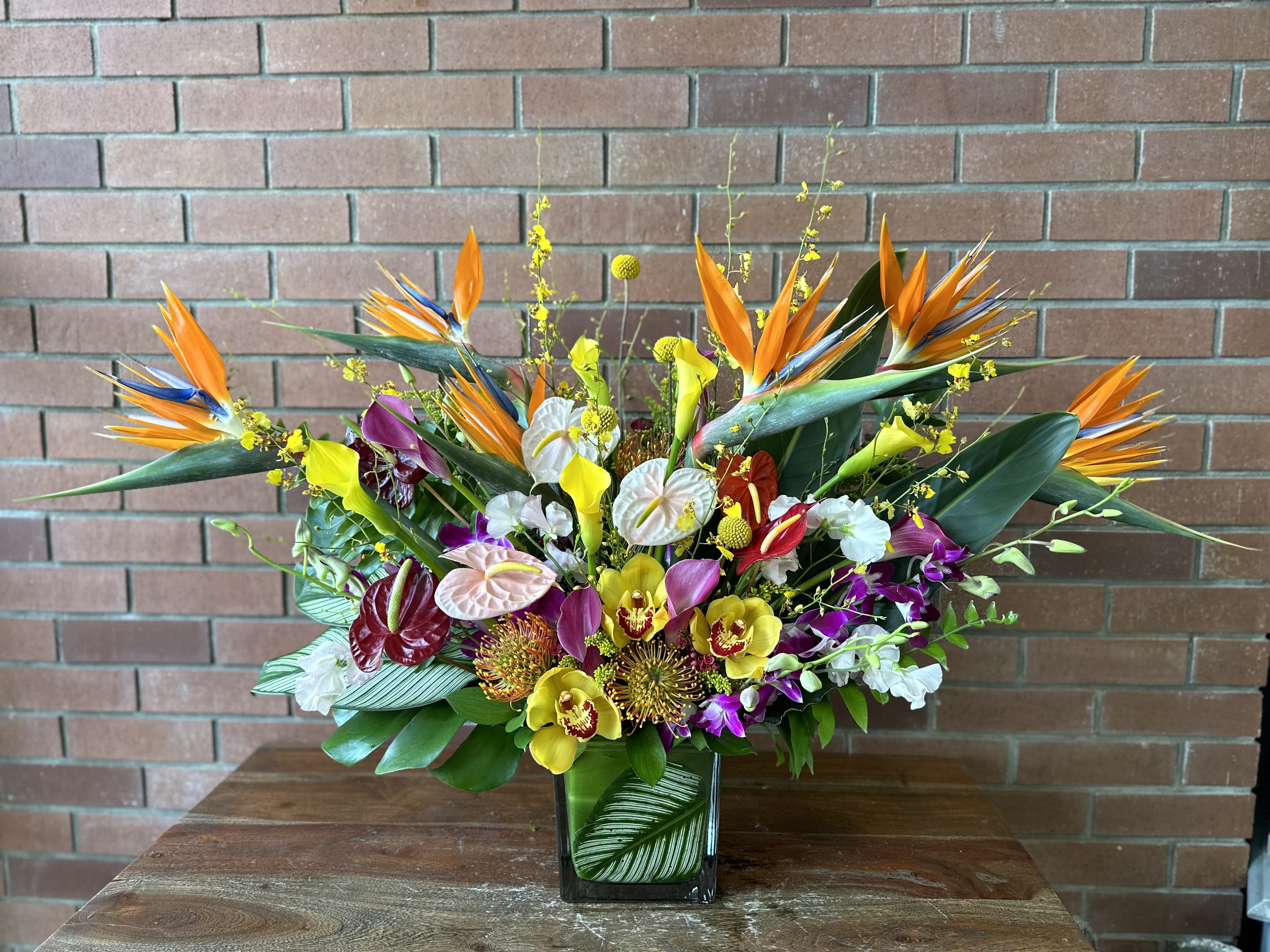 Paradise Gardens Tropical Arrangement  - A slice of paradise - this lush tropical arrangement is full of birds of paradise, anthuriums, orange pin cushion proteas, dendrobium orchids, cymbidium orchids, calla lilies, craspedia, monsters and other tropical foliage flowers and greenery. Arranged in a heavy glass clear 6x6 cube vase lined with leafs. 
