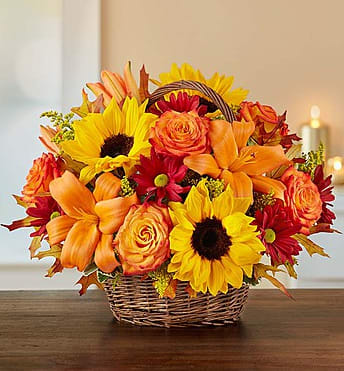 Autumn Treat  - Imagine rows of colorful blooms lining the European countryside. Now imagine bringing that picturesque scene to life for someone very special! Inspired by our best selling autumn arrangement, we’ve hand-gathered the most brilliant autumn blooms into a rustic handled willow basket so that you can take the time to remind them that, no matter how near or far, they’re on your mind and in your heart. Product Code: 91932
