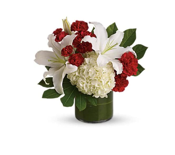 You're My Angel You're My Angel - "Make a stunning statement with this high-style symphony of snowy white and passionate red. It's a dramatic choice for any occasion, full of luxurious blooms including hydrangea and oriental lilies. Crisp white hydrangea and oriental lilies are juxtaposed with rich red carnations and fresh pops of green aralia leaves. The clear glass cylinder vase is lined with a tropical ti leaf. Approximately 14 1/2"" W x 13 1/2"" H Orientation : One-Sided All prices in USD ($) Due to seasonal price increase on flowers, our prices will reflect an increase for this holiday on certain delivery dates. Standard T591-1A"