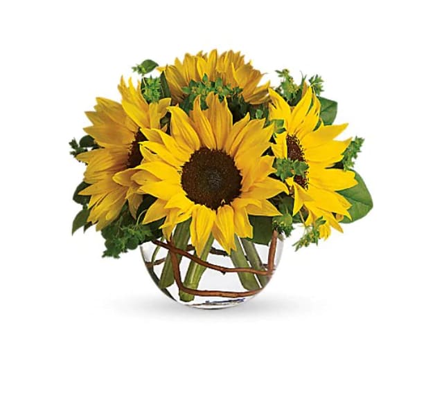 Sunny Suflowers - Whoever receives this stunning bouquet is sure to be bowled over by its bold beauty! It's big on fun and big on flowers. Sunflowers steal the show in this simple arrangement. Also featured: green bupleurum, salal leaves and a curly willow inside the glass bubble bowl.   Orientation : All-Around  All prices in USD ($)  Due to seasonal price increase on flowers, our prices will reflect an increase for this holiday on certain delivery dates.  Standard  T152-2A  Deluxe  T152-2B  Premium  T152-2C