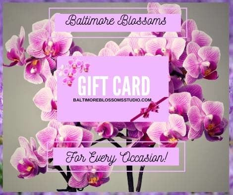 Gift Cards Gift Cards - Baltimore Blossoms Gift Cards are a perfect gift for any occasion! Please call us if you'd like to place an order for a gift card of a different denomination.