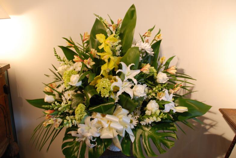 Tropical Condolences  - Beautiful tropical arrangement to send to the home or funeral. 