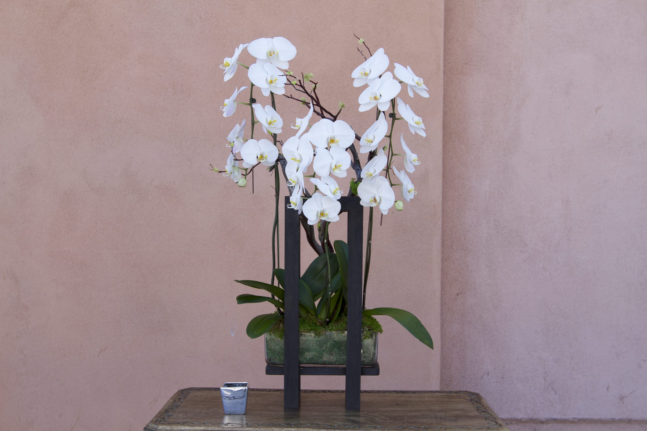 orchid arrangement 37 orchid arrangement 37 - orchid arrangement 37
