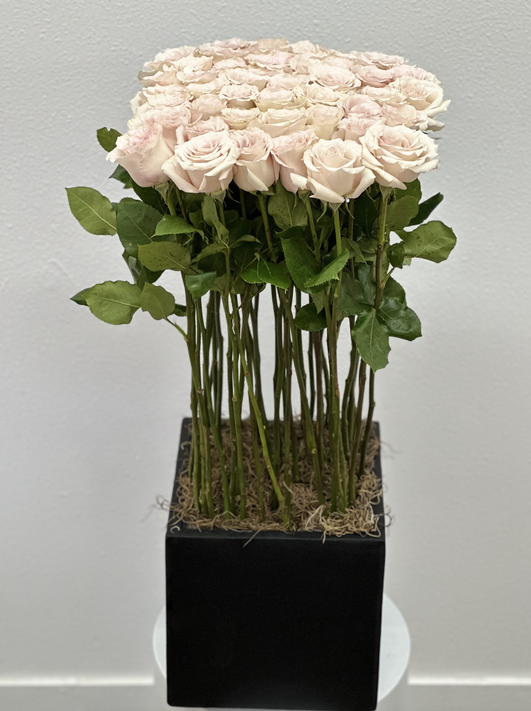 Jenifer - An elegant arrangement in a black square vase, filled with beautiful quicksand roses. 