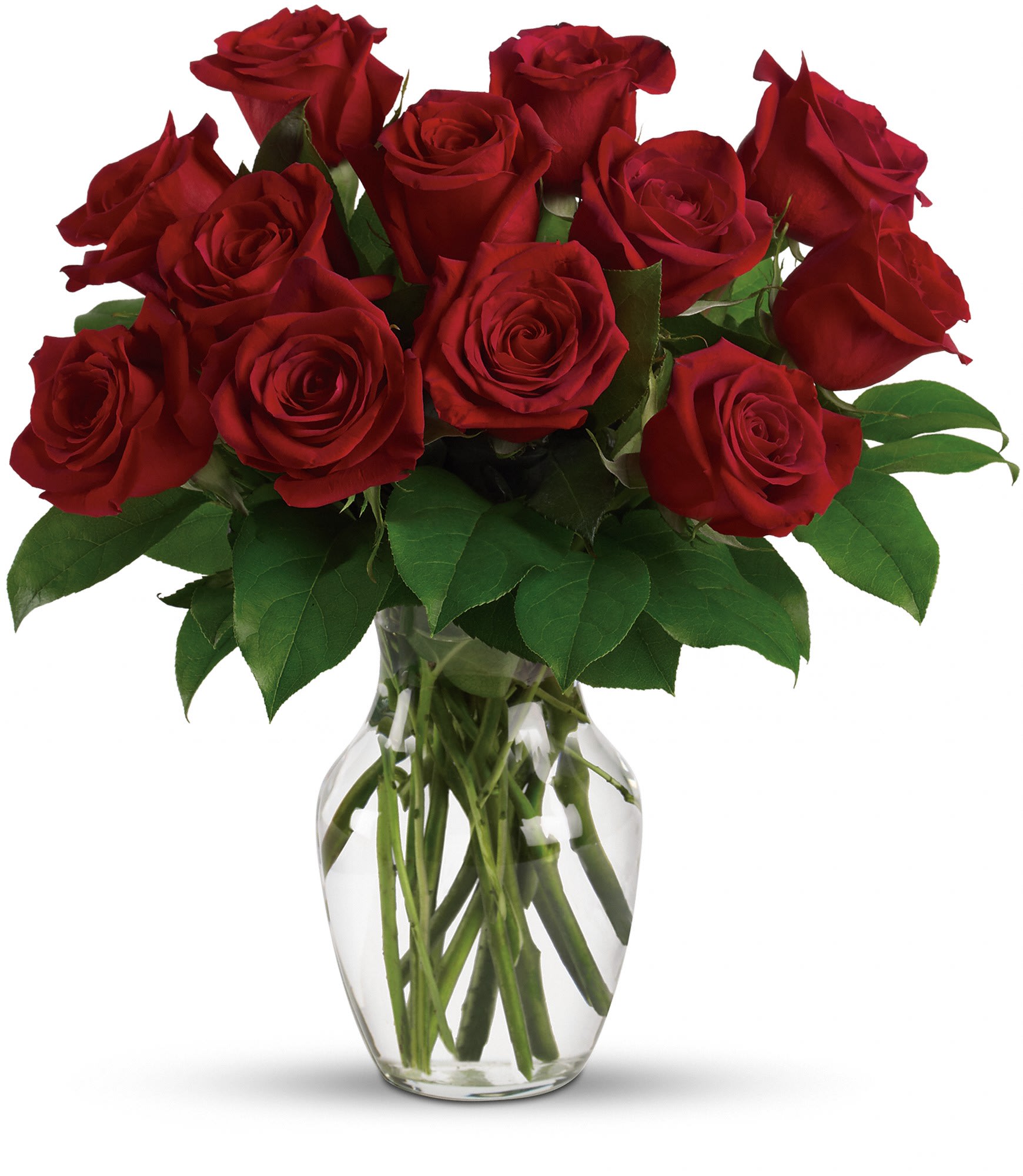 Enduring Passion - 12, 18 or 24  Red Roses - Double her pleasure, double her fun with two dozen gorgeous red roses arranged in a sparkling clear glass vase. This truly breathtaking gift will make her fall in love with you all over again. Which will double your pleasure and fun, too.