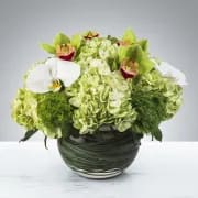 Smiles all Around by BloomNation™ Smiles all Around by BloomNation™ - Two different types of orchids and hydrangea come together for this bubble of blooms. Send it as a gift for Admin Day, Employee Appreciation Week or Boss's Day. APPROXIMATE DIMENSIONS 16" W X 14" H