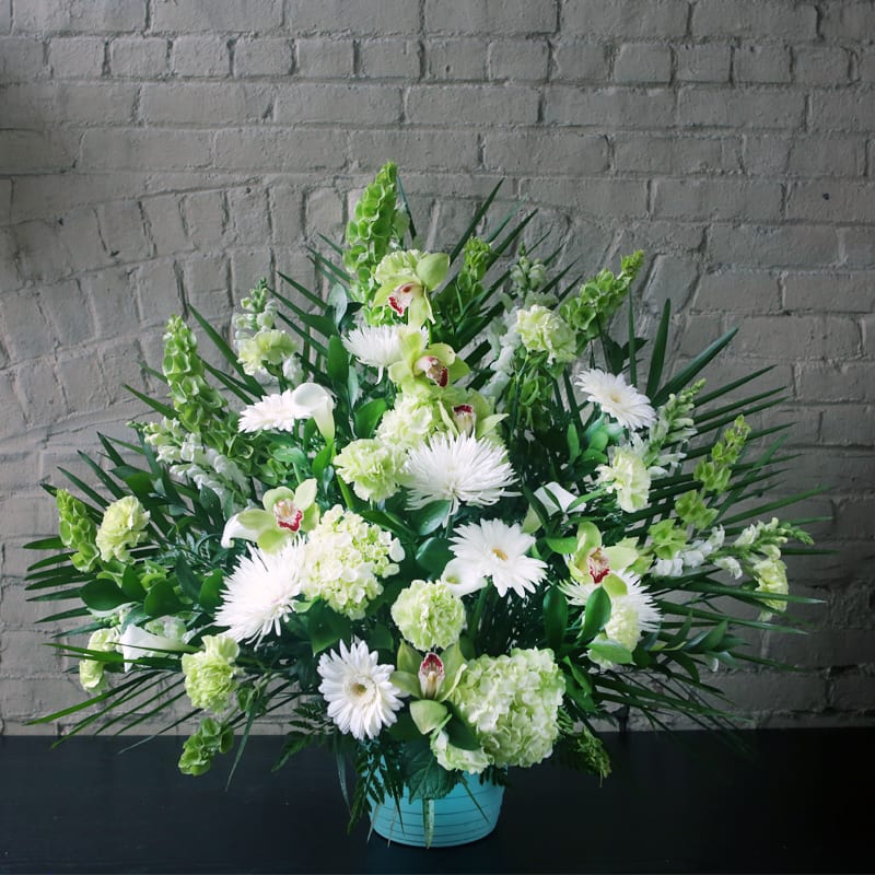 Tropical Tribute - A beautiful arrangement of white snapdragons, green bells of Ireland, green cymbidium orchids, green hydrangeas, white mums, white gerbera daisies, and white callas in a green or white container.
