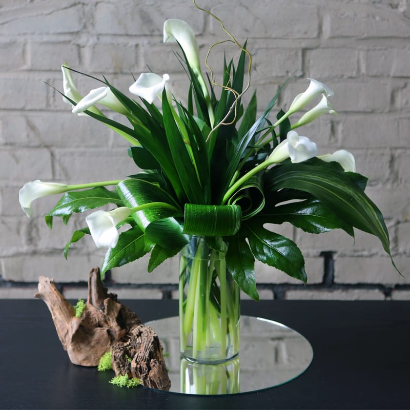 Cascading Callas - BEAUTIFUL LONG STEM CALLA LILIES ARRANGED IN A CLEAR  CYLINDER WITH HAWAIIAN TI LEAVES 