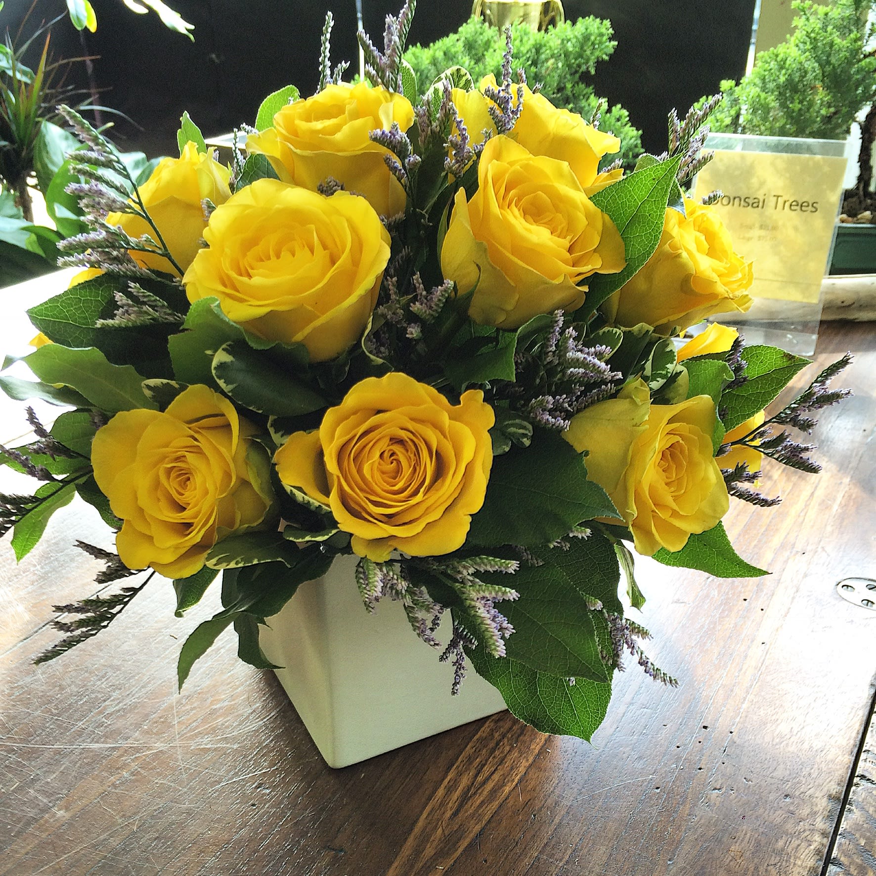Good Morning Sunshine - Yellow roses to brighten anyone’s day! Perfect for friendship, birthdays or just because... (Container may vary)