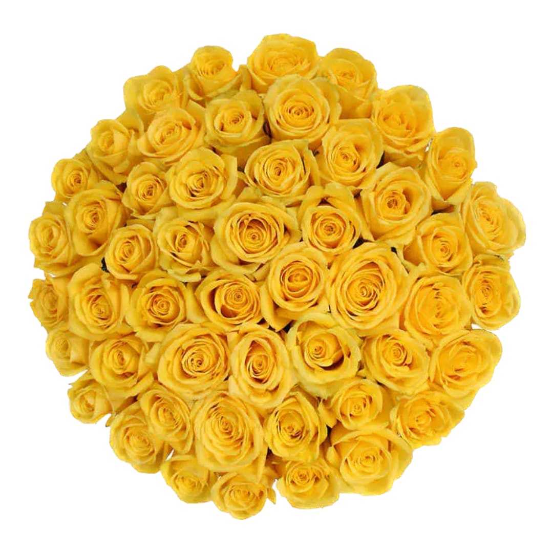 Here Comes the Sun Handtied Bouquet - Our &quot;Here comes the sun&quot; yellow rose hand tied bouquet represents hope, optimism and the excitement that comes with embarking on a new chapter in life. With their vibrant and sunny color, yellow roses are also known as symbols of joy. The name says it all, &quot;Here comes the sun&quot;. This bouquet arrangement is tied with our satin ribbons and twine, adding a touch of refined sophistication to the ensemble.   