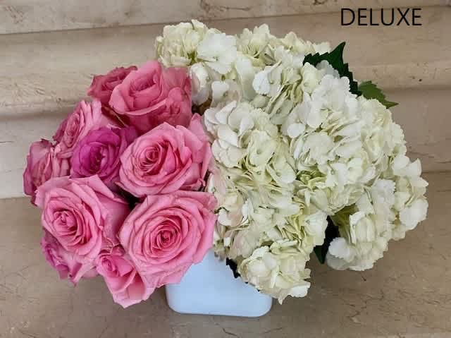 Hydrangeas with Pink Roses in a glass or white square - White Hydrangeas with 12 Pink Roses in a glass or white glass square.  Deluxe has 18 Roses with more Hydrangeas. Premium has 24 Hydrangeas and more Hydrangeas  in a larger vase.
