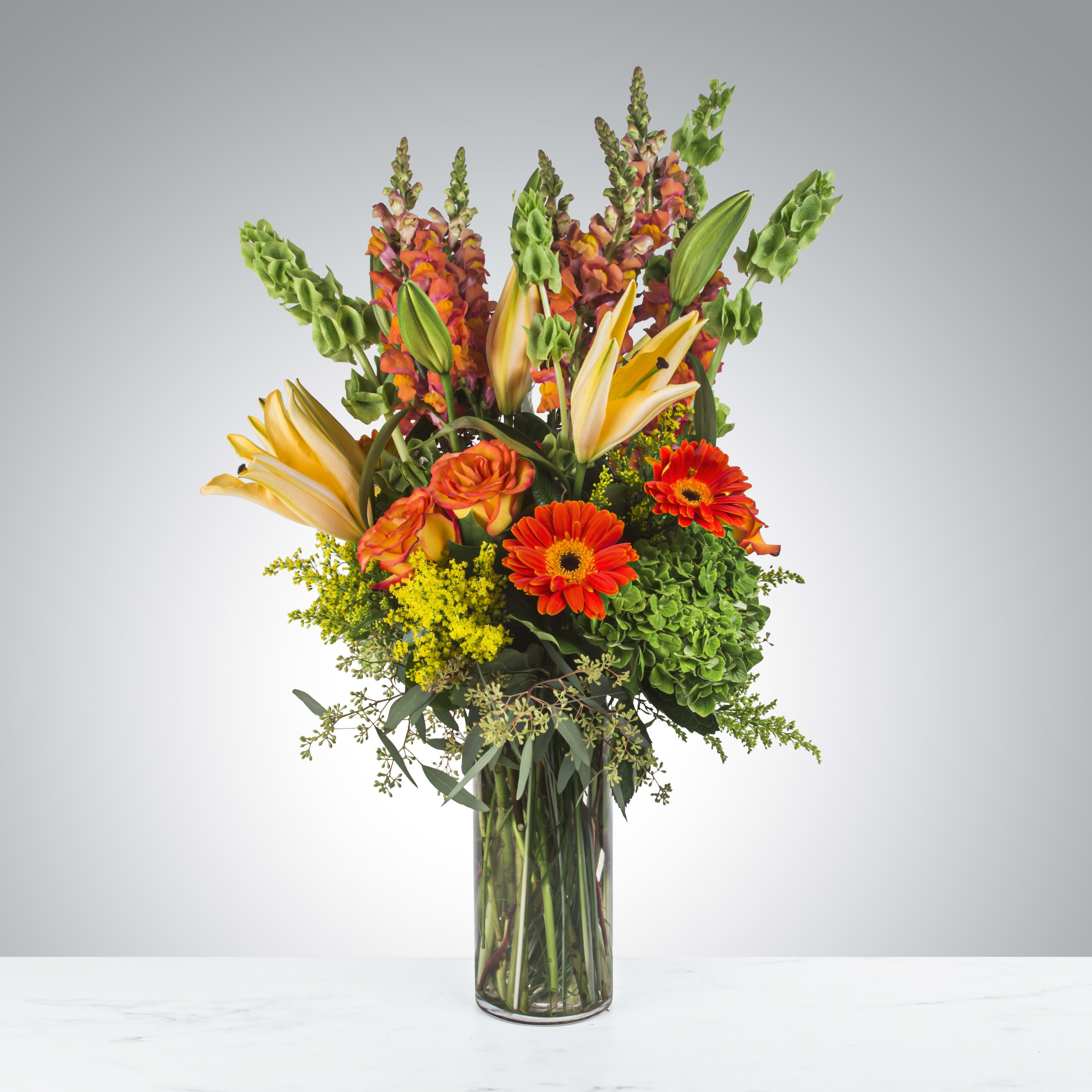 Buenos Dias by BloomNation™ - Say &quot;Buenos Dias&quot; to a bright and cheerful day with our stunning Buenos Dias Flower Arrangement. This vibrant arrangement features a beautiful mix of orange gerbera daisies, green bells of Ireland, green hydrangea, roses, and orange lilies, all beautifully arranged in a glass cylinder vase.  The Buenos Dias Flower Arrangement is a celebration of vibrant colors and unique textures. The energetic and eye-catching orange gerbera daisies add a burst of color and a playful touch to the arrangement. Their cheerful and sunny appearance inspires joy and optimism, making them the perfect flowers to greet a new day.  The green bells of Ireland bring a refreshing and natural element to the arrangement. With their long and slender stems and bell-shaped flowers, they represent luck and good fortune. The deep green color adds depth and serves as a striking contrast against the bright orange and white blooms.  The green hydrangea and roses provide a lush and elegant backdrop to the arrangement. These romantic flowers symbolize love, appreciation, and gratitude. The soft green hues of the hydrangea and rich pink tones of the roses add a sense of charm and romance, creating a lovely balance with the other flowers.  The orange lilies are the centerpiece of the bouquet, adding splendor and sophistication to the arrangement. These exotic flowers represent happiness, love, and warmth, making them the ideal choice to create a welcoming and inviting atmosphere.  All of the stunning blooms in the Buenos Dias Flower Arrangement come together in a sleek and modern glass cylinder vase. This elegant vase enhances the overall visual impact of the arrangement, celebrating the beauty and simplicity of the flowers.  Whether it's for a birthday, anniversary, or just to brighten someone's day, the Buenos Dias Flower Arrangement is the perfect way to spread warmth and cheer. Let the stunning combination of orange gerbera daisies, green bells of Ireland, green hydrangea, roses, and orange lilies create an unforgettable display that will make every morning feel like a celebration.   APPROXIMATE DIMENSIONS 16&quot; W X 31&quot; H