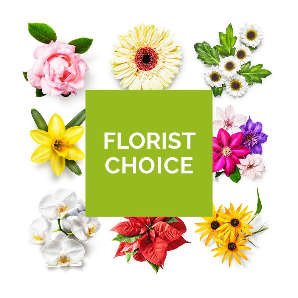 Seasonal Designer's Choice - Trust our talented florist to design a beautiful arrangement for your special someone. Please visit our Beautiful Bouquet tab to provided specific detail on flowers and colors of your choice -  or include in your comments. Suggested price points below.