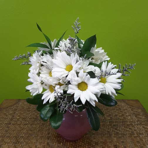 SIMPLY DAISIES NEW-A37 SIMPLY DAISIES NEW-A37 - Simply all white Daisies arranged in round bubble ball vase with greens and filler accents. All daises are a great way to say, i am thinking of you and wanted to brighten your day.. Please phone us at 1-800-331-5358 for other colors and styles of Daisy arrangements.