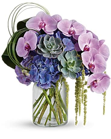 Exquisite Elegance Bouquet - Truly exquisite, this uniquely sculptural bouquet of pale purple orchids, silvery succulents and deep purple hydrangea adds artistic elegance to any event! This eye-catching bouquet features purple hydrangea, lavender phalaenopsis spray orchids, hanging green amaranthus, bear grass, green ti leaves, and large green echeveria succulents. Delivered in a clear milk jug vase.