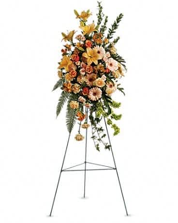 Sweet Remembrance Spray - The flowing, improvisational feeling expressed by this beautiful spray of pastel flowers is like an outpouring of love. It will be long-remembered. The striking bouquet includes peach roses, orange bi-color roses, peach spray roses, peach asiatic lilies, orange alstroemeria, peach carnations and bells of Ireland, accented with assorted greenery.