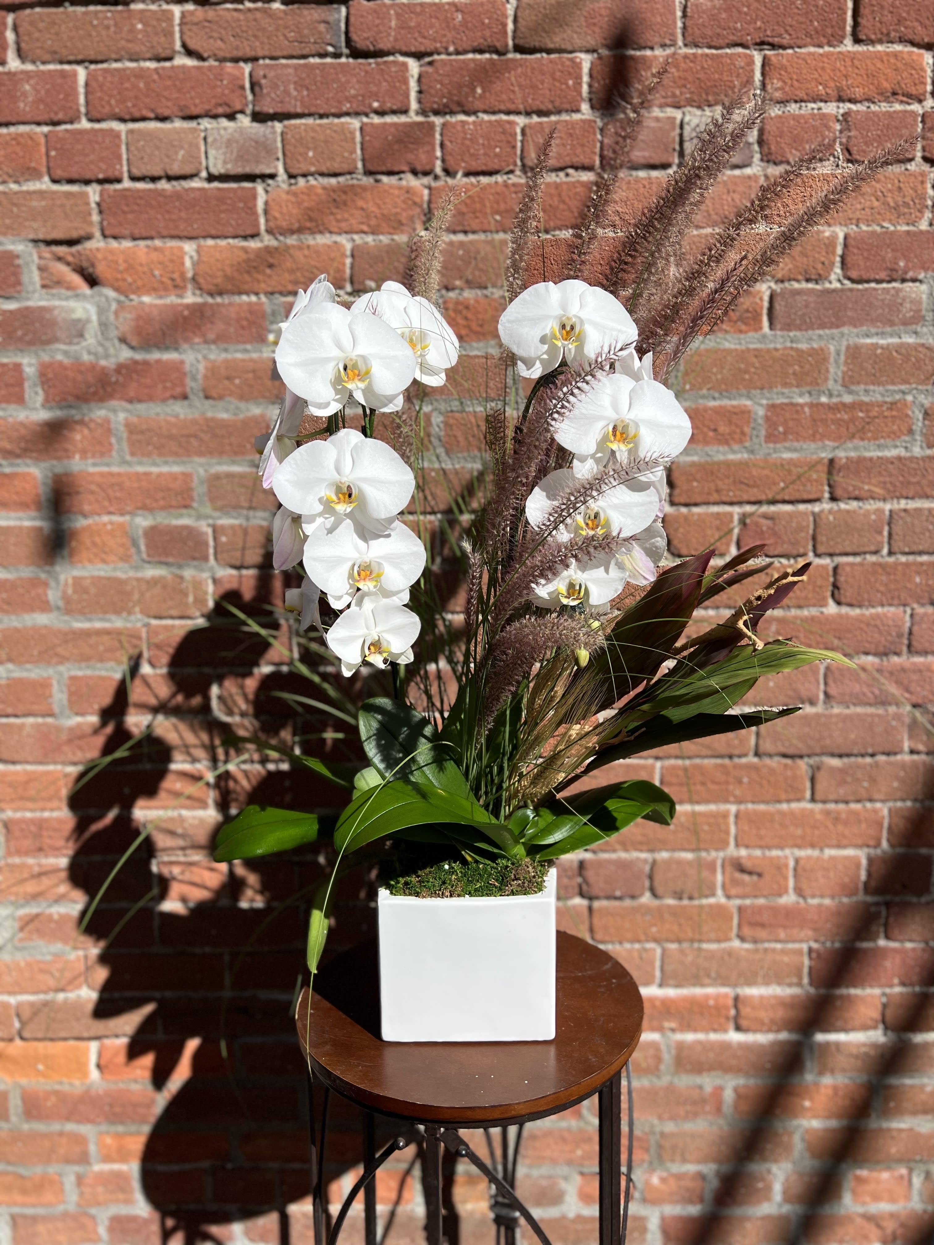 falling cascasde - a decadent double orchid planter in a all white ceramic vase with assorted fall inspired greens and textures   *NOTE : some fall textures may vary based on the market availability